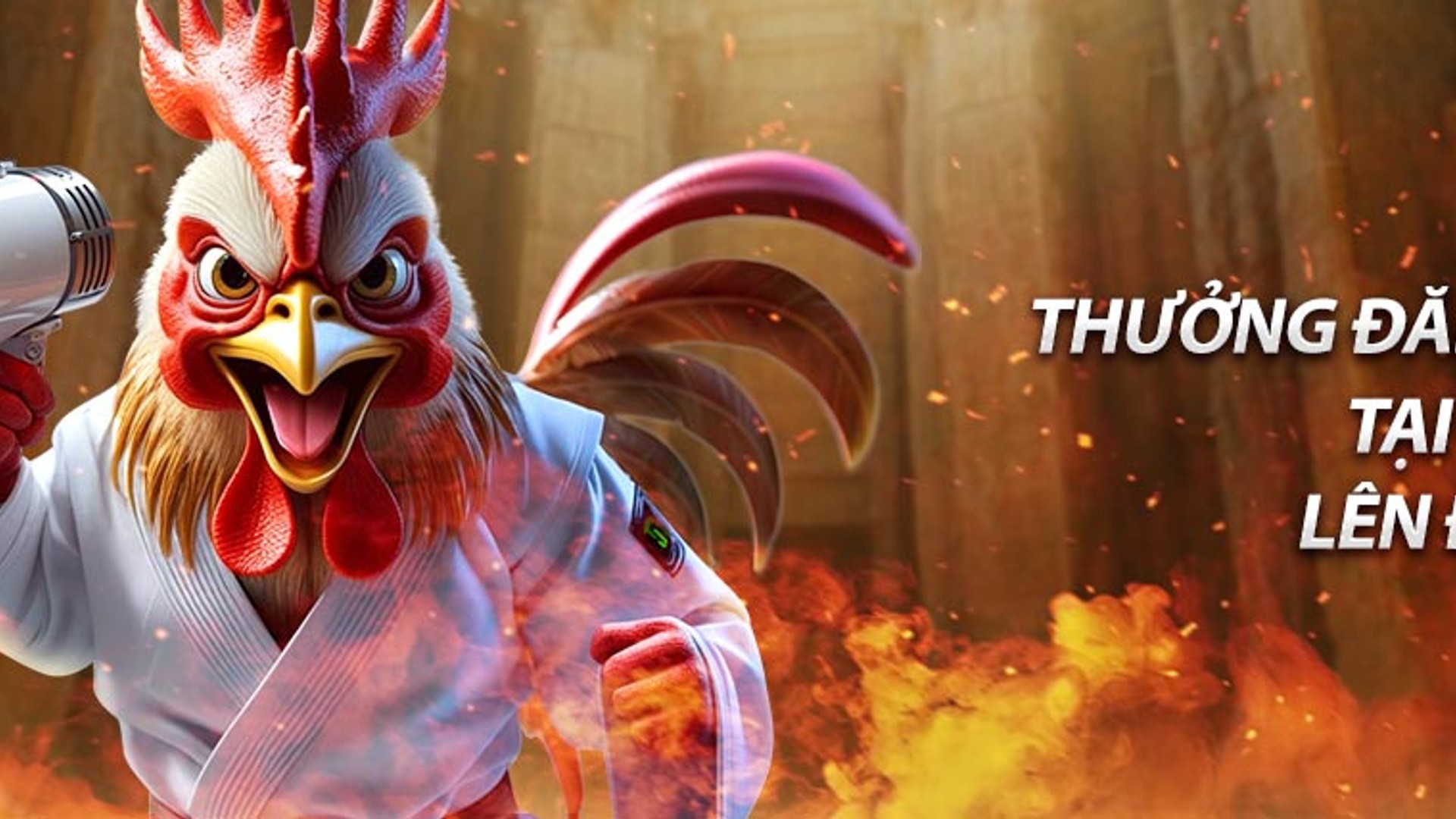 Tổng quan các chương trình ưu đãi và khuyến mãi DEBET